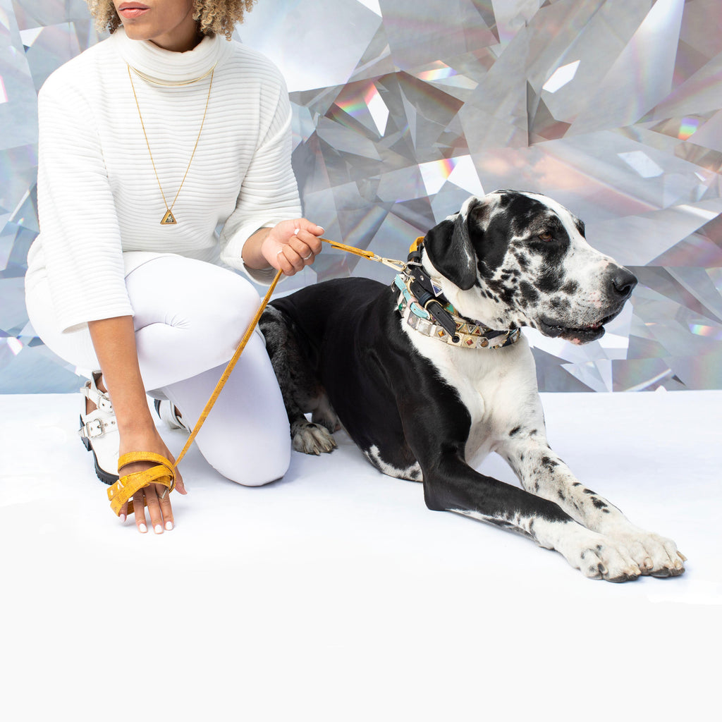 Cloud White Cork Leather Leash