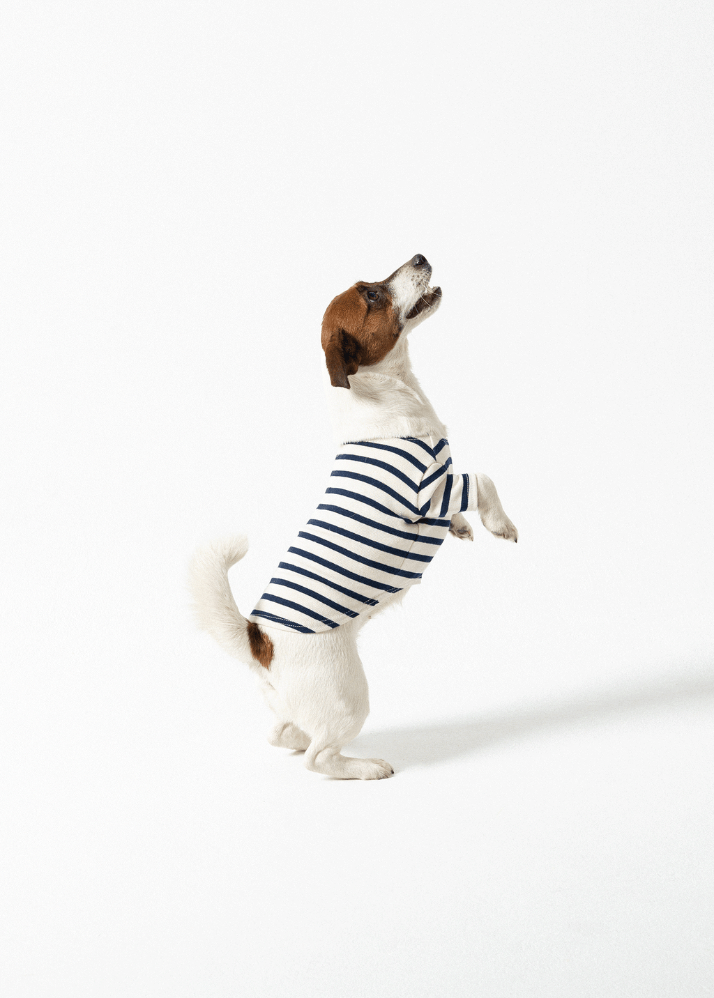 PARISIAN PUP SHIRT - Authentic Breton Shirt for Dog | Heavyweight Cotton (ECRU / NAVY)