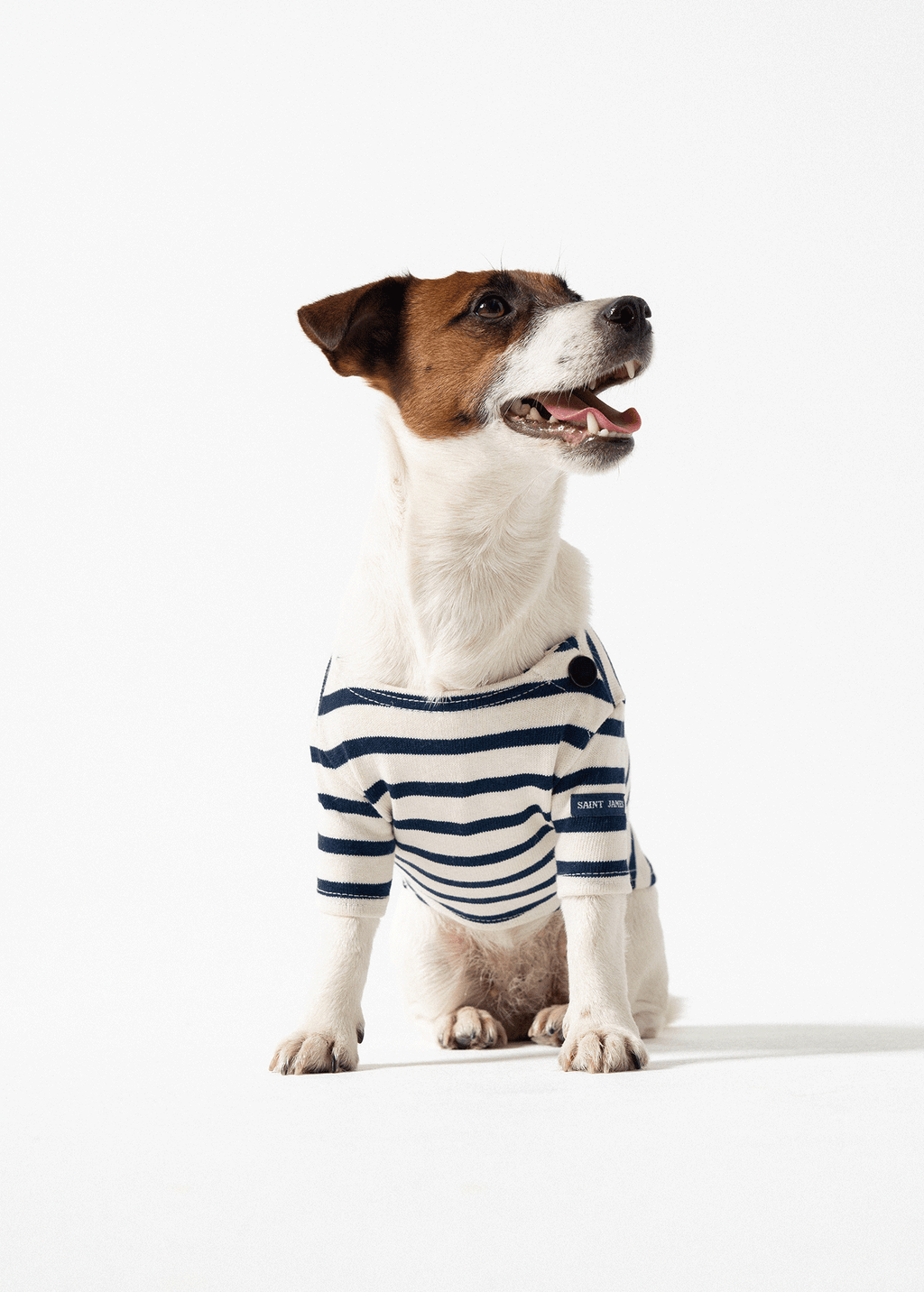 PARISIAN PUP SHIRT - Authentic Breton Shirt for Dog | Heavyweight Cotton (ECRU / NAVY)
