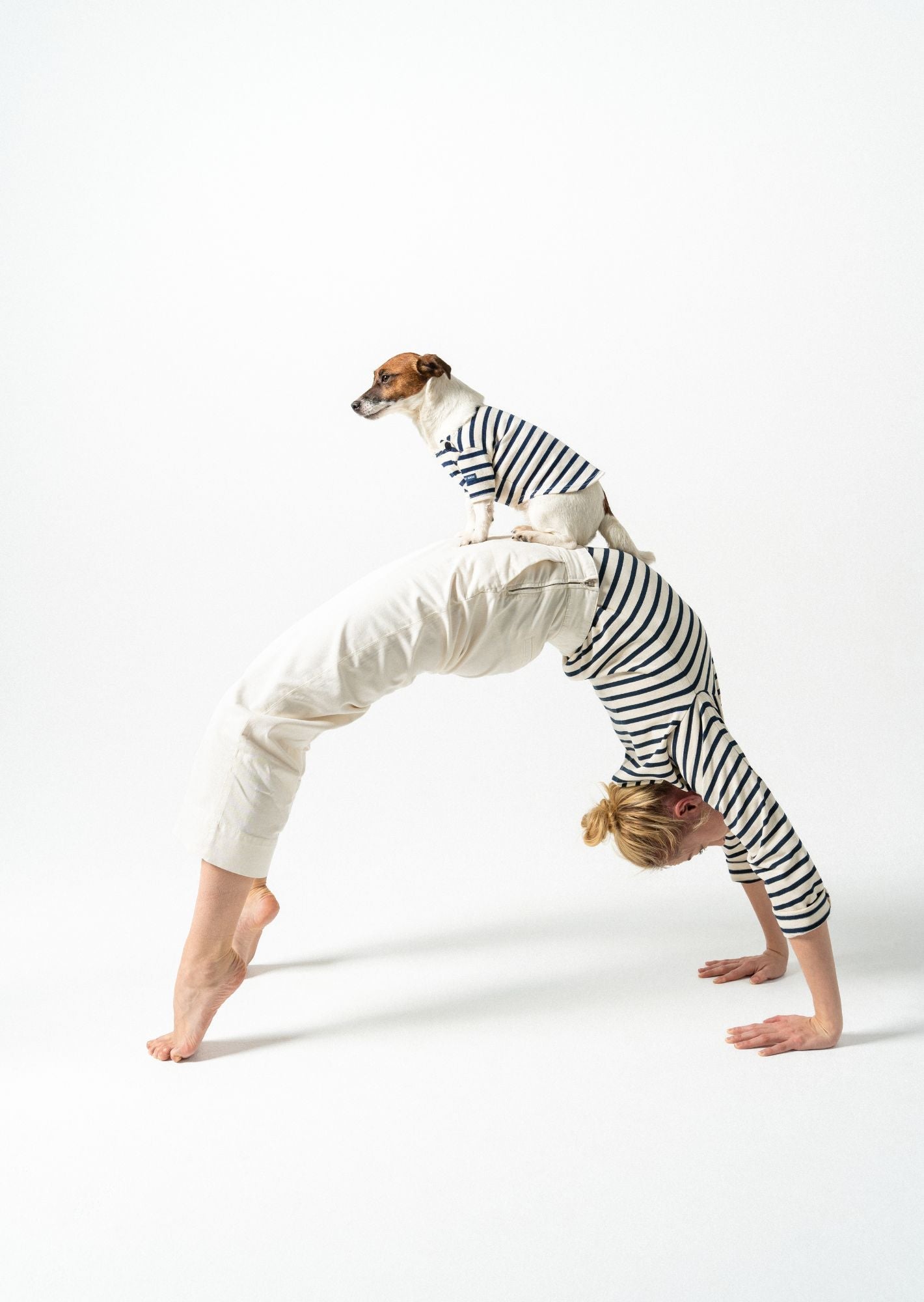 PARISIAN PUP SHIRT - Authentic Breton Shirt for Dog | Heavyweight Cotton (ECRU / NAVY)