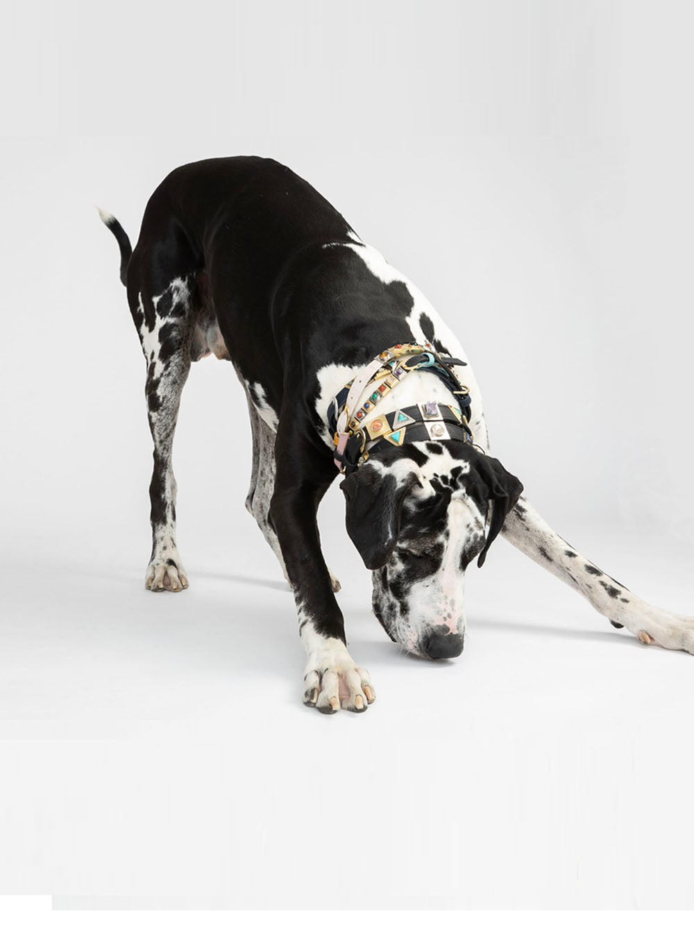 Cloud White Cork Leather Collar