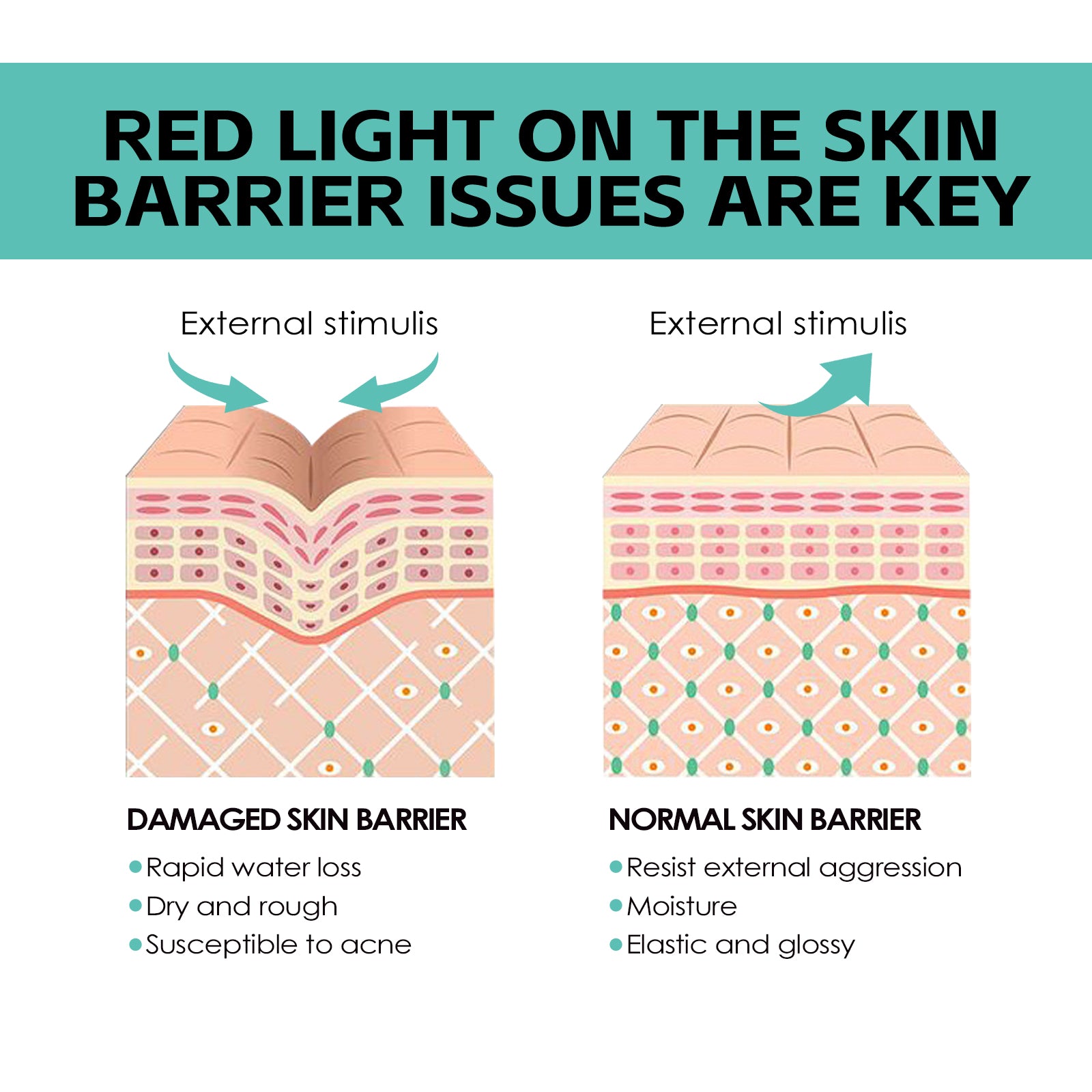 Moisturizing Cream, Brightening Whitening Moisturizing Skin Care Cream