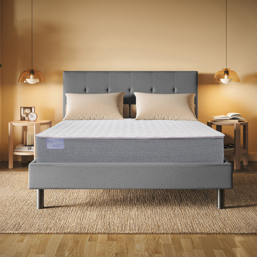 Club Signature III Extra Firm