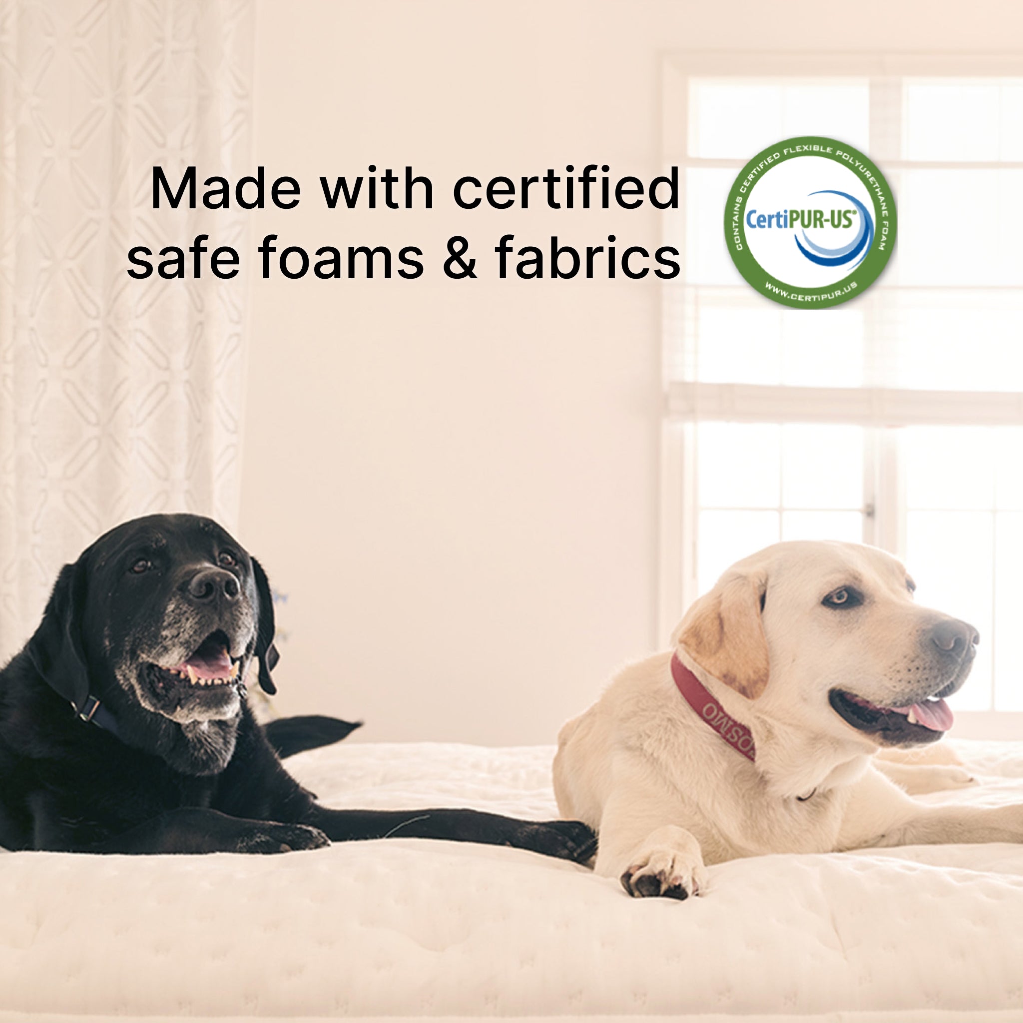 Cosmos Firm (FLOOR SAMPLE)