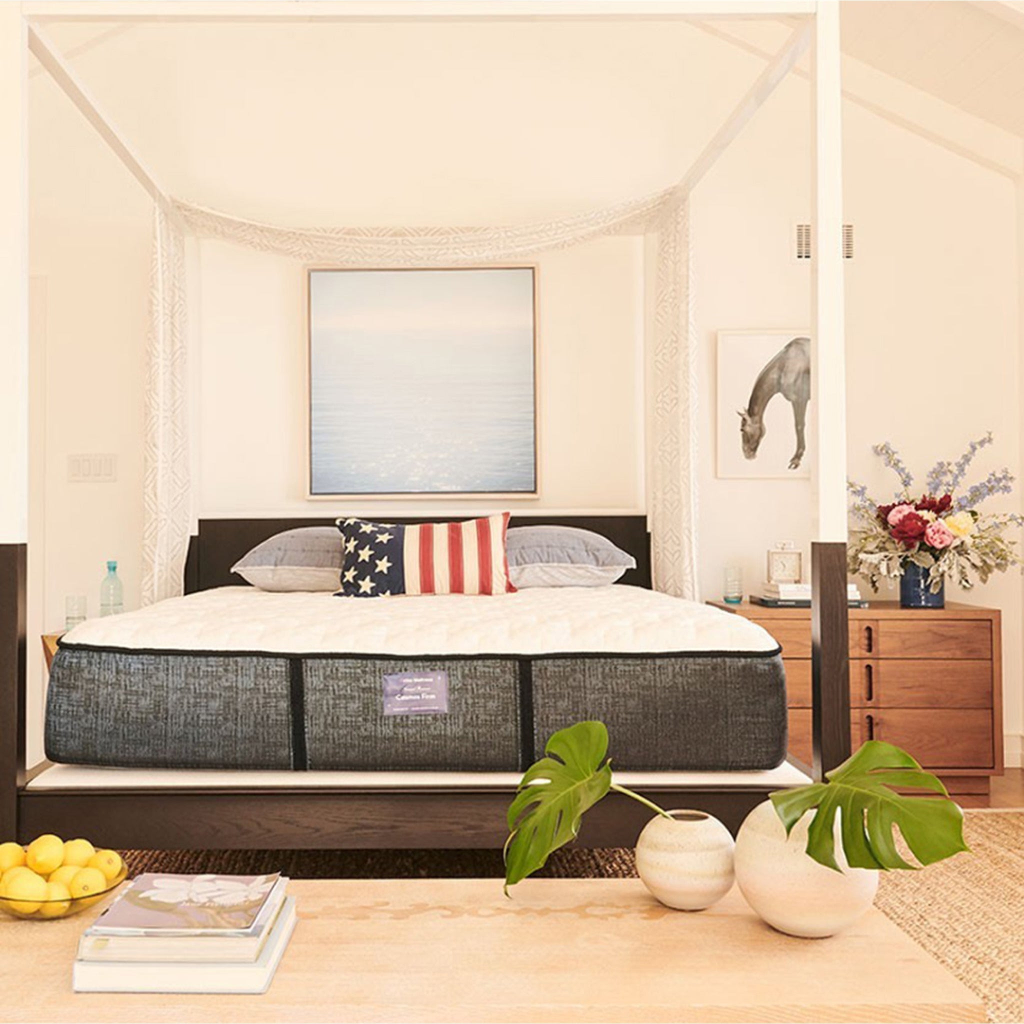 Cosmos Plush (FLOOR SAMPLE)