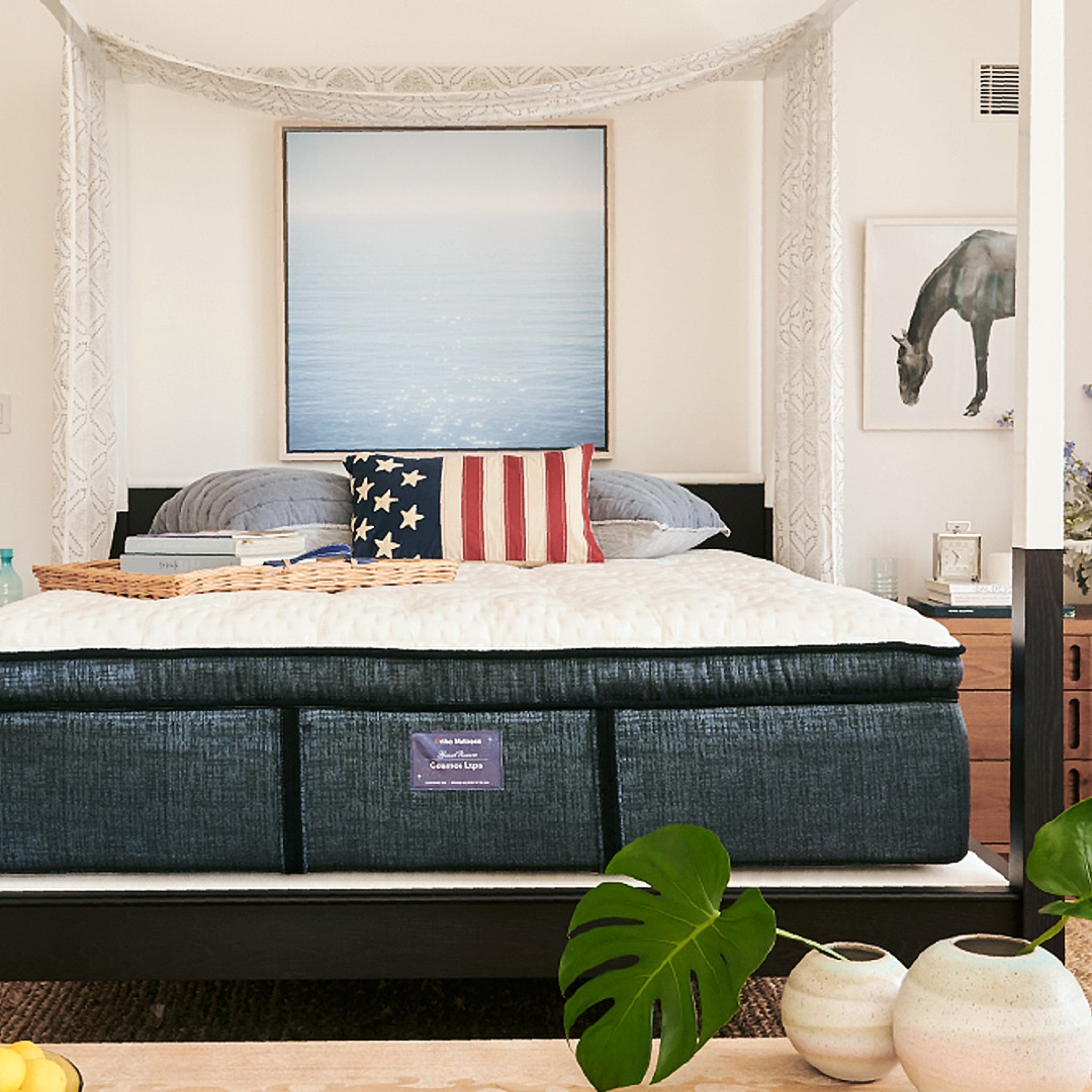 Cosmos LTPS (FLOOR SAMPLE)