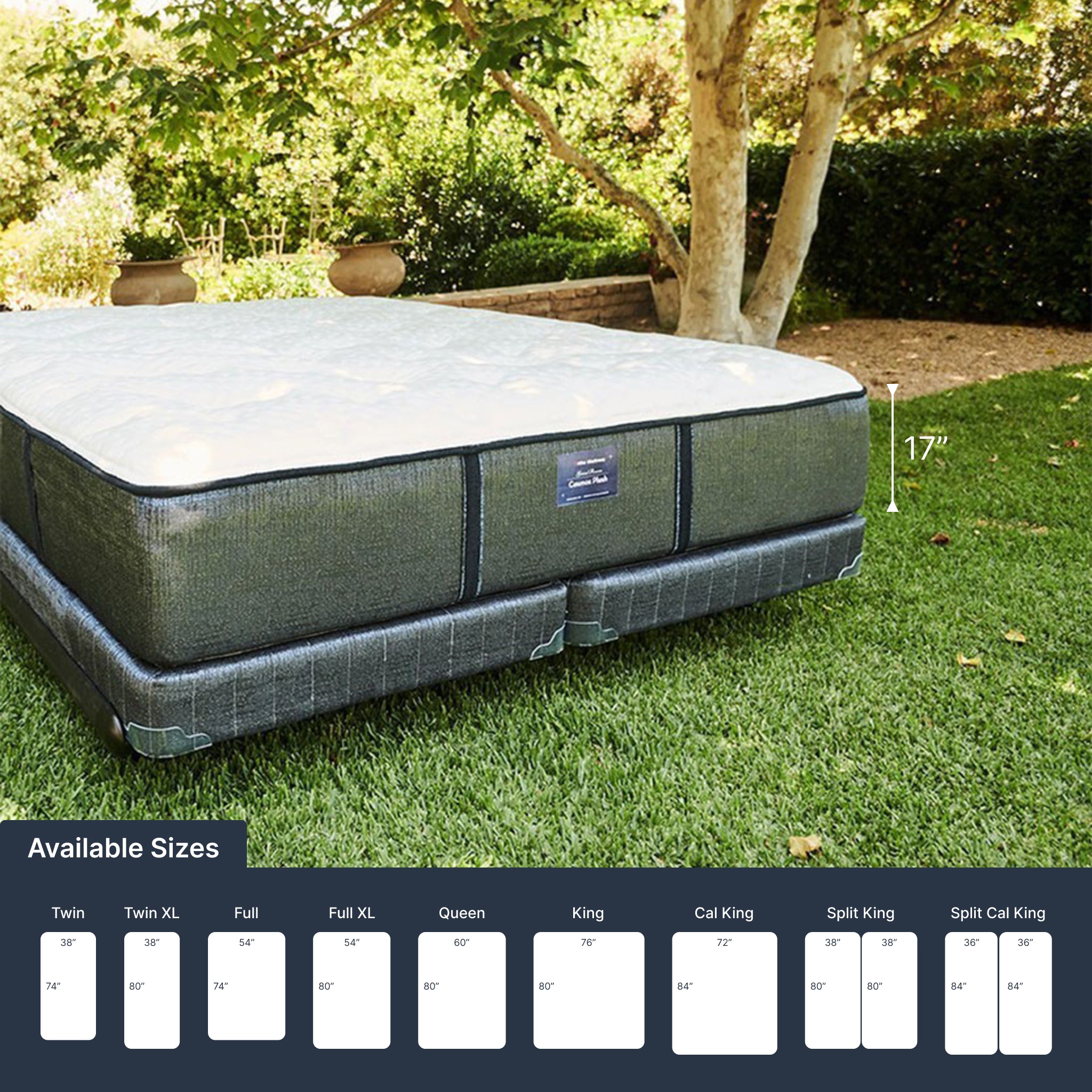 Cosmos LTPS (FLOOR SAMPLE)