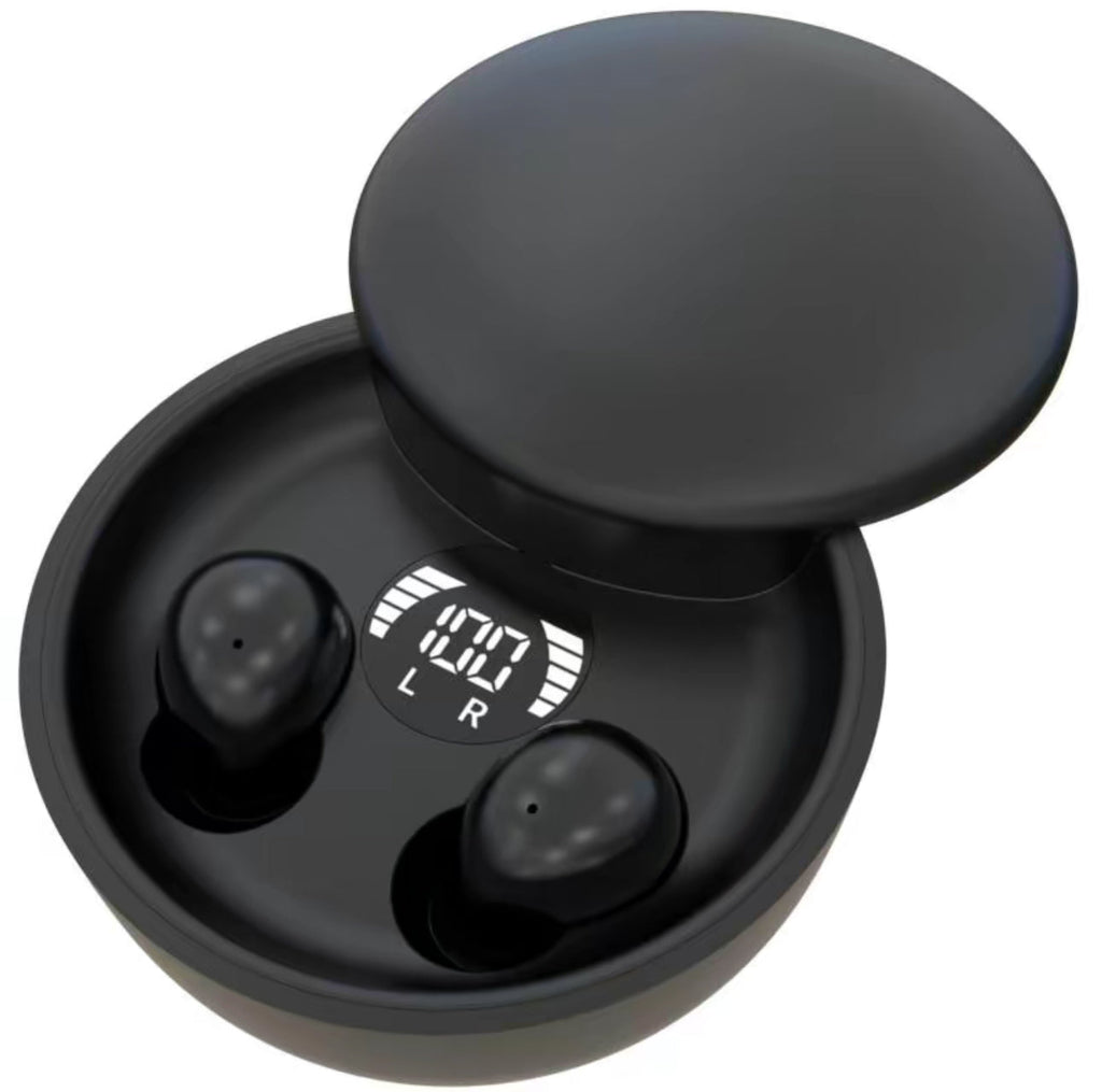 EchoDotz Mini Earbuds