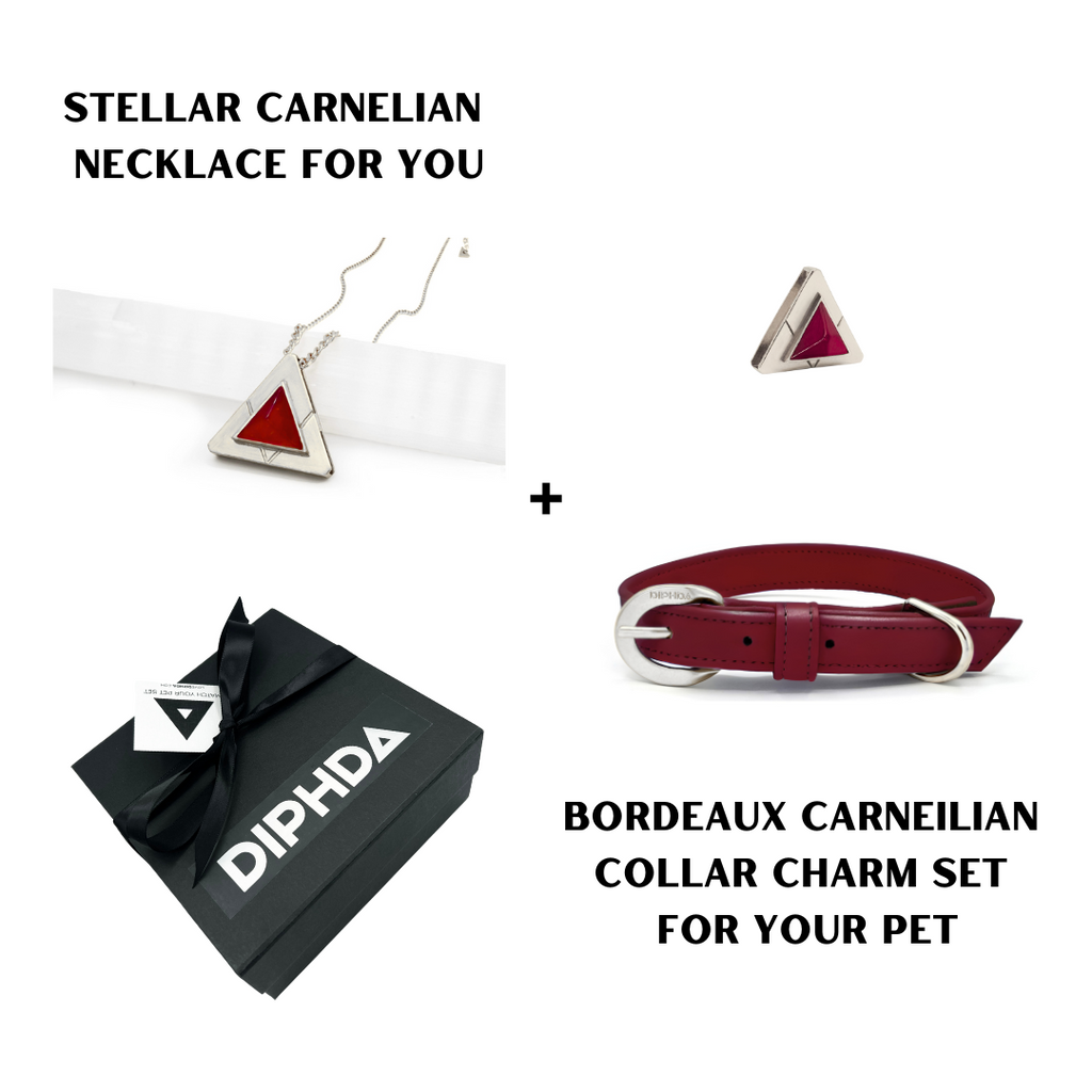 Bordeaux Carnelian Match Your Pet Gift Box Set