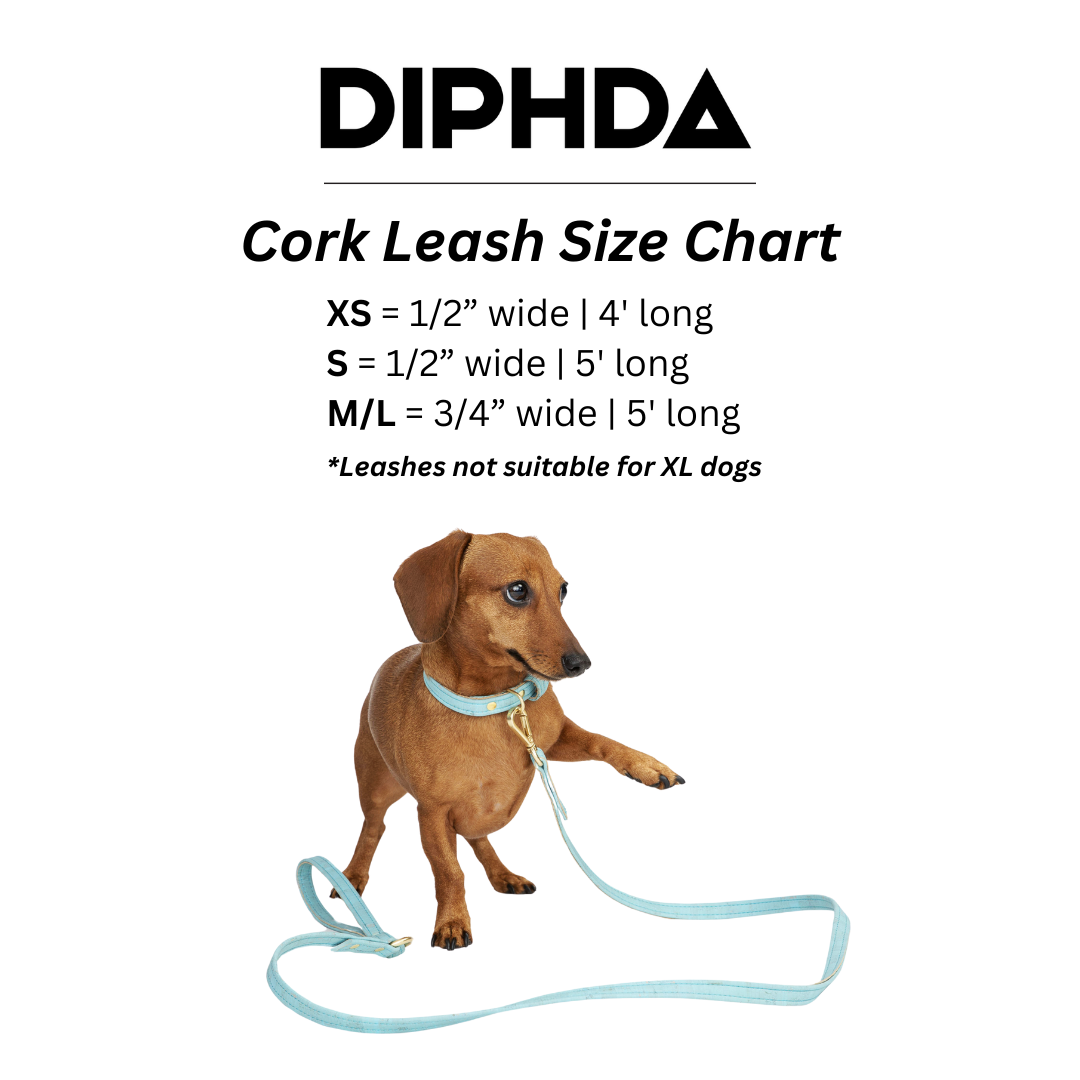 Love Pink Cork Leather Leash