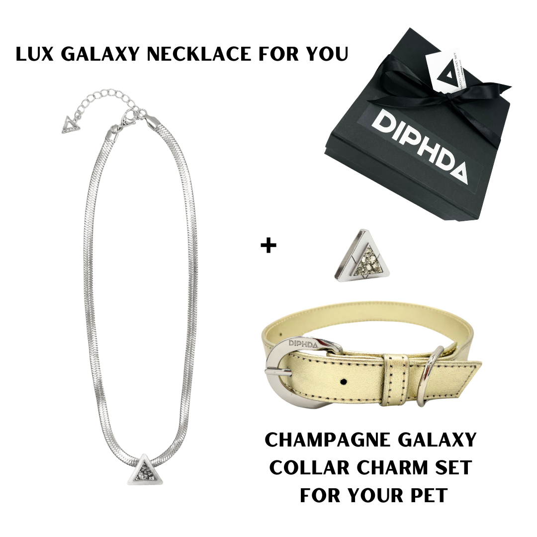 Champagne Galaxy Match Your Pet Gift Box Set