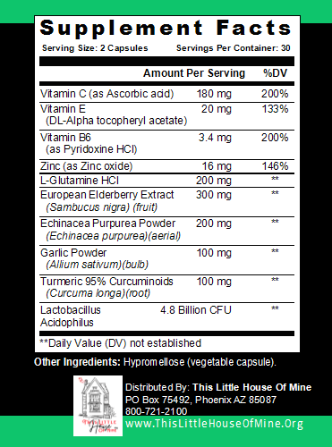 DAILY ARMOR Immune Support Supplement