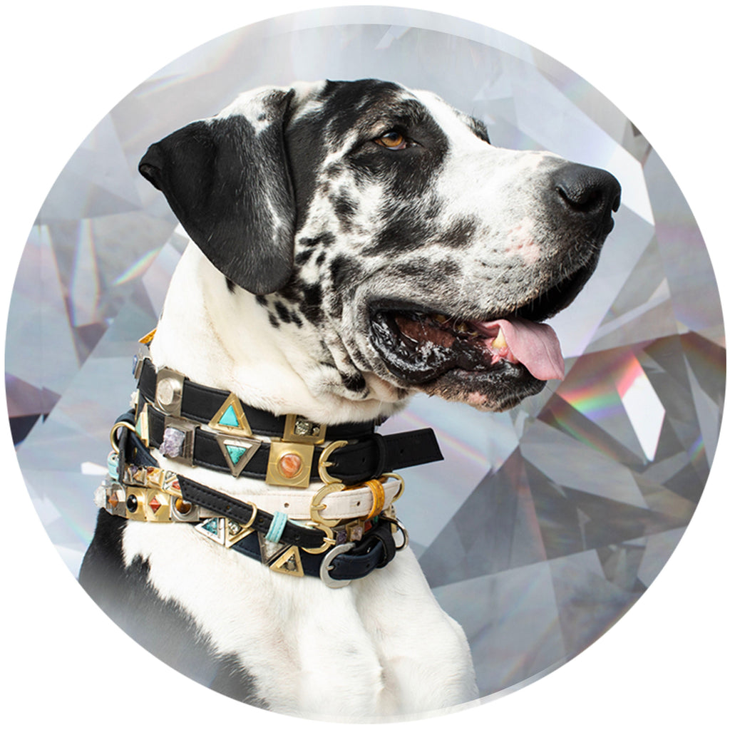 Sky Blue Cork Leather Collar