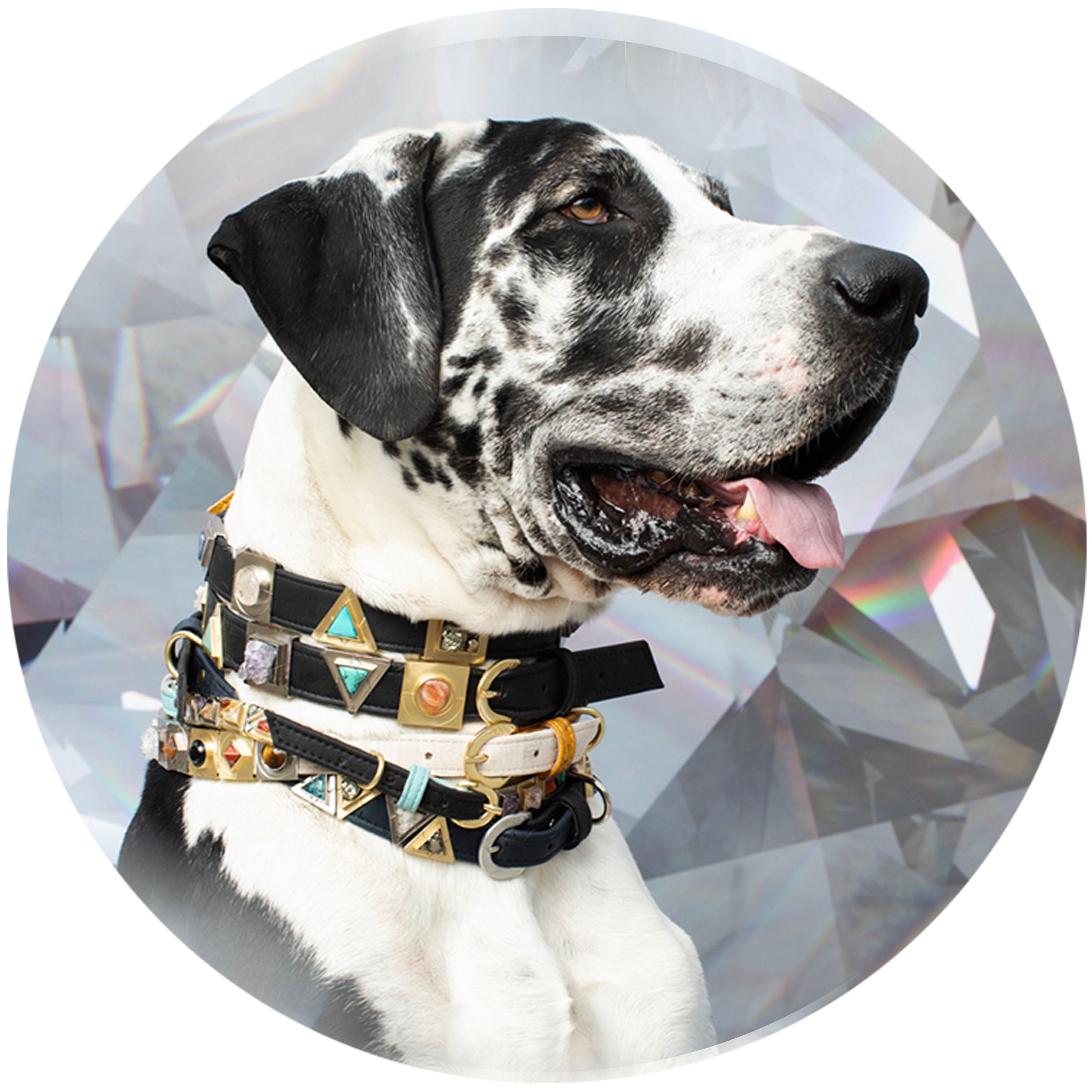 Love Pink Cork Leather Collar