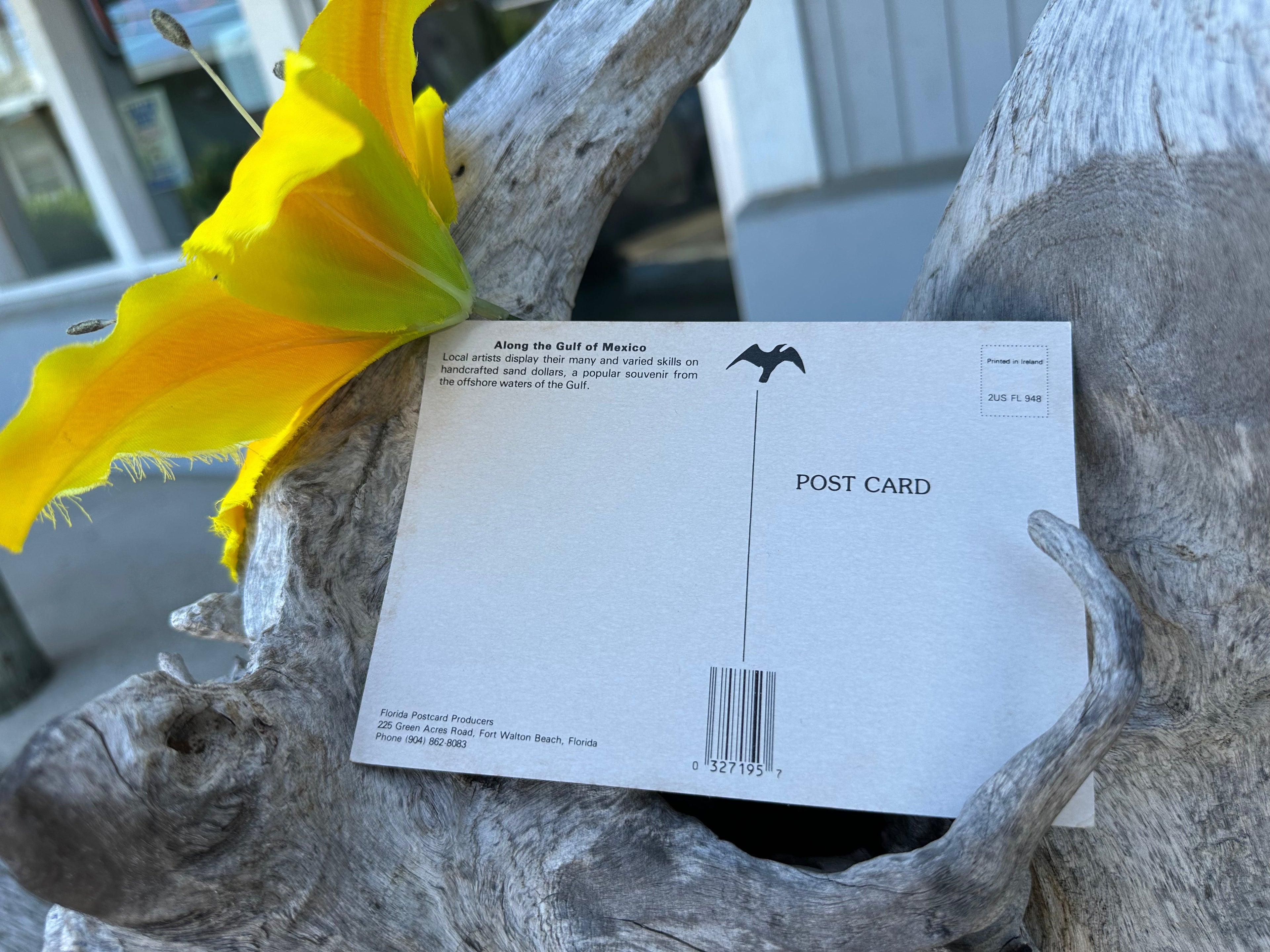 "Greeting From Gulf of Mexico" Vintage Postcard