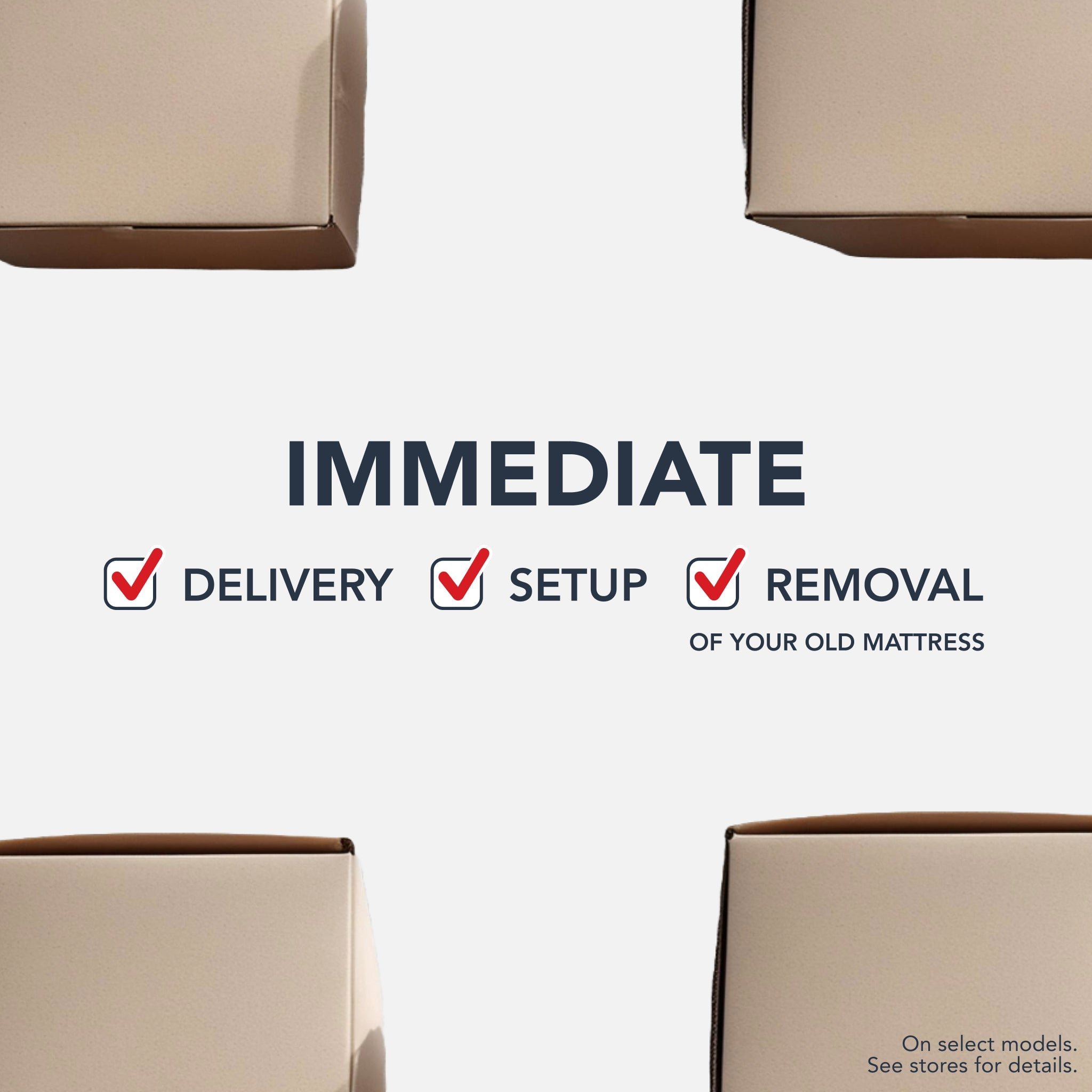 DP100 Adjustable Bed Frame