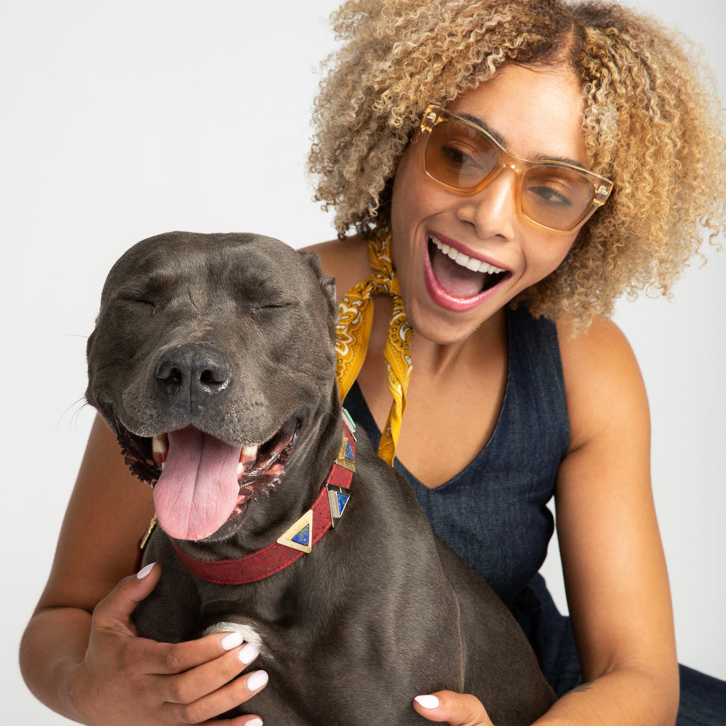 Ruby Red Cork Leather Collar