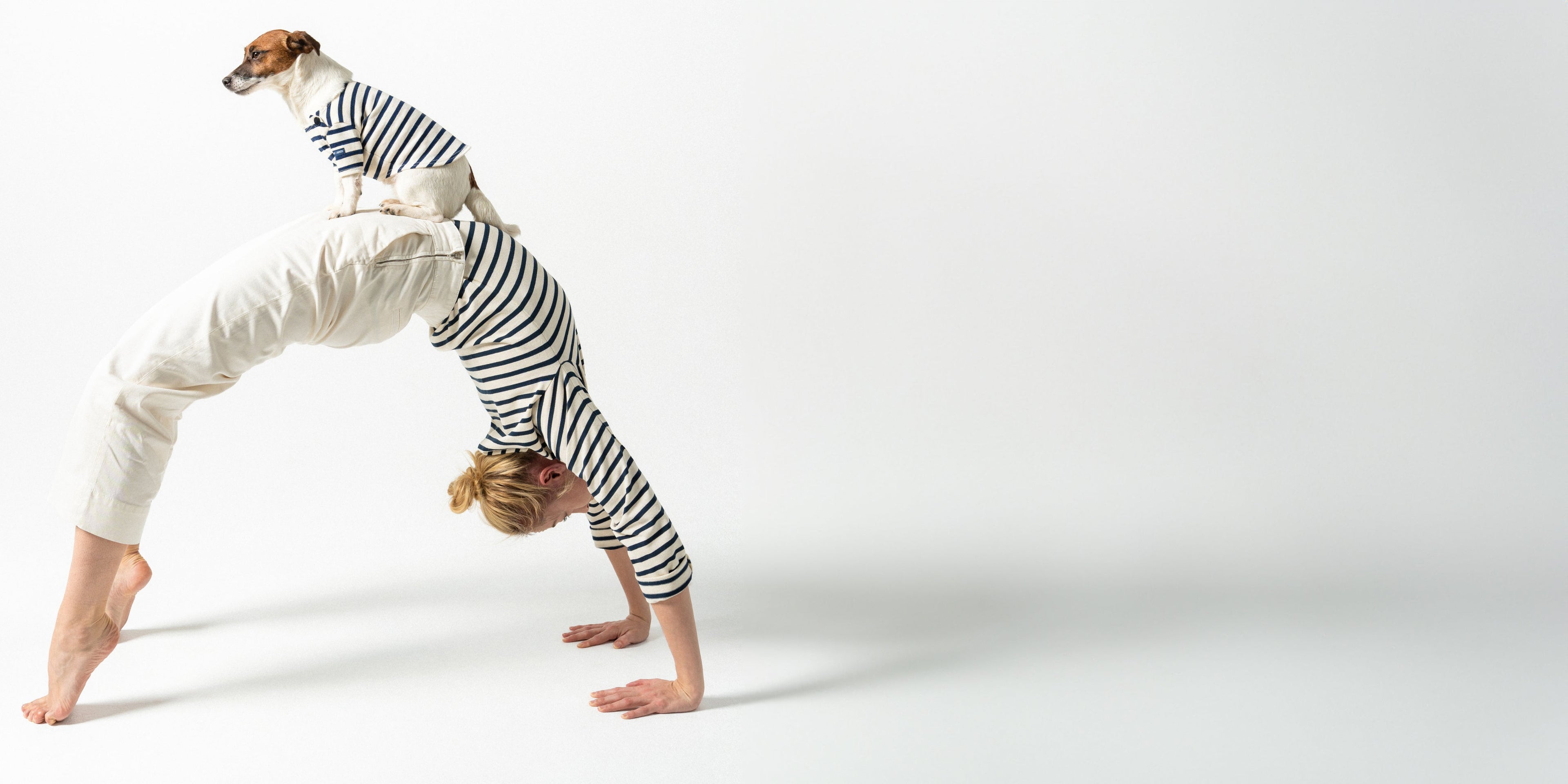 PARISIAN PUP SHIRT - Authentic Breton Shirt for Dog | Heavyweight Cotton (ECRU / NAVY)