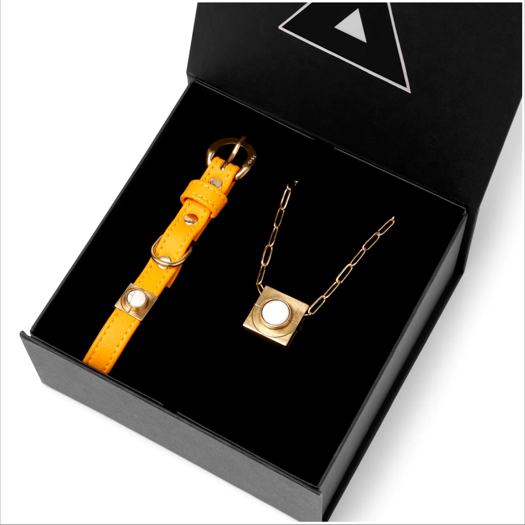 Sunflower Howl Match Your Pet Gift Box Set