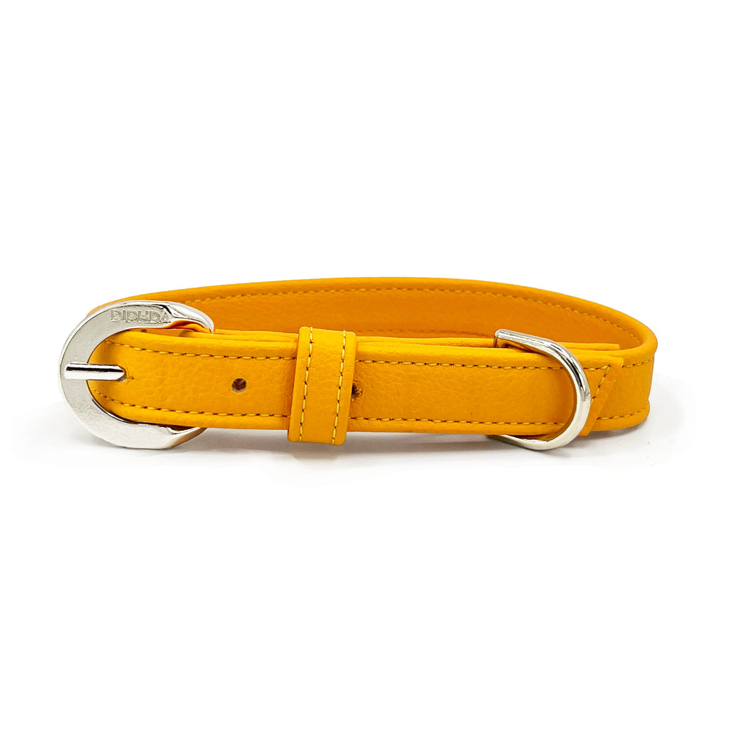 Sunflower Cactus Collar