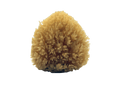 All-Natural Dead Sea Sponge
