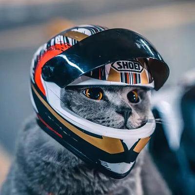 Helmet for Fur Baby🐱