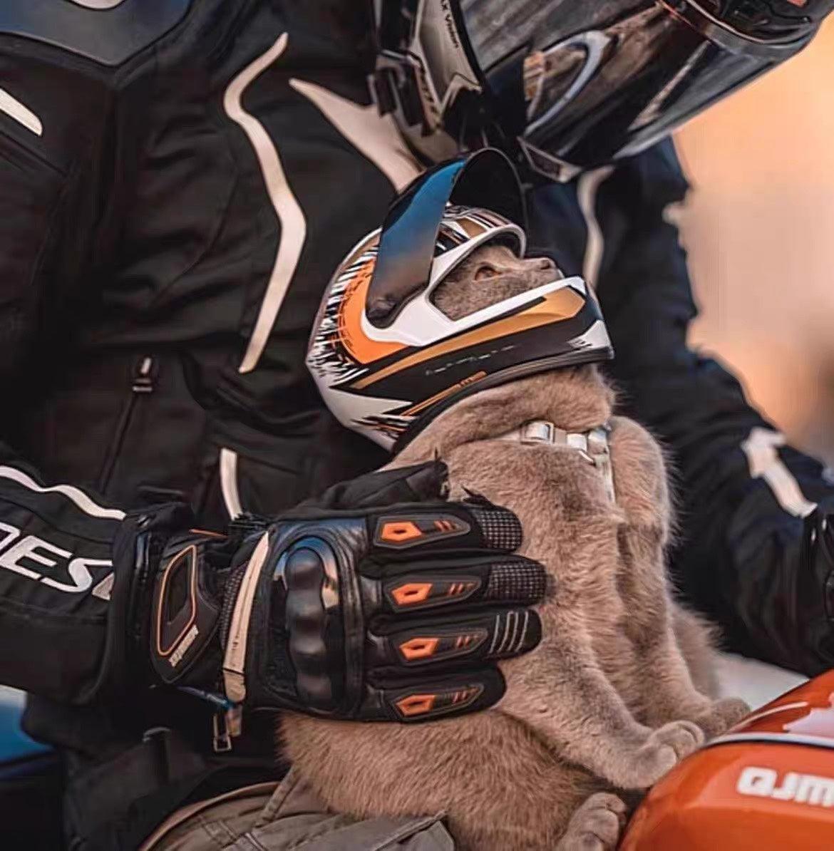 Helmet for Fur Baby🐱