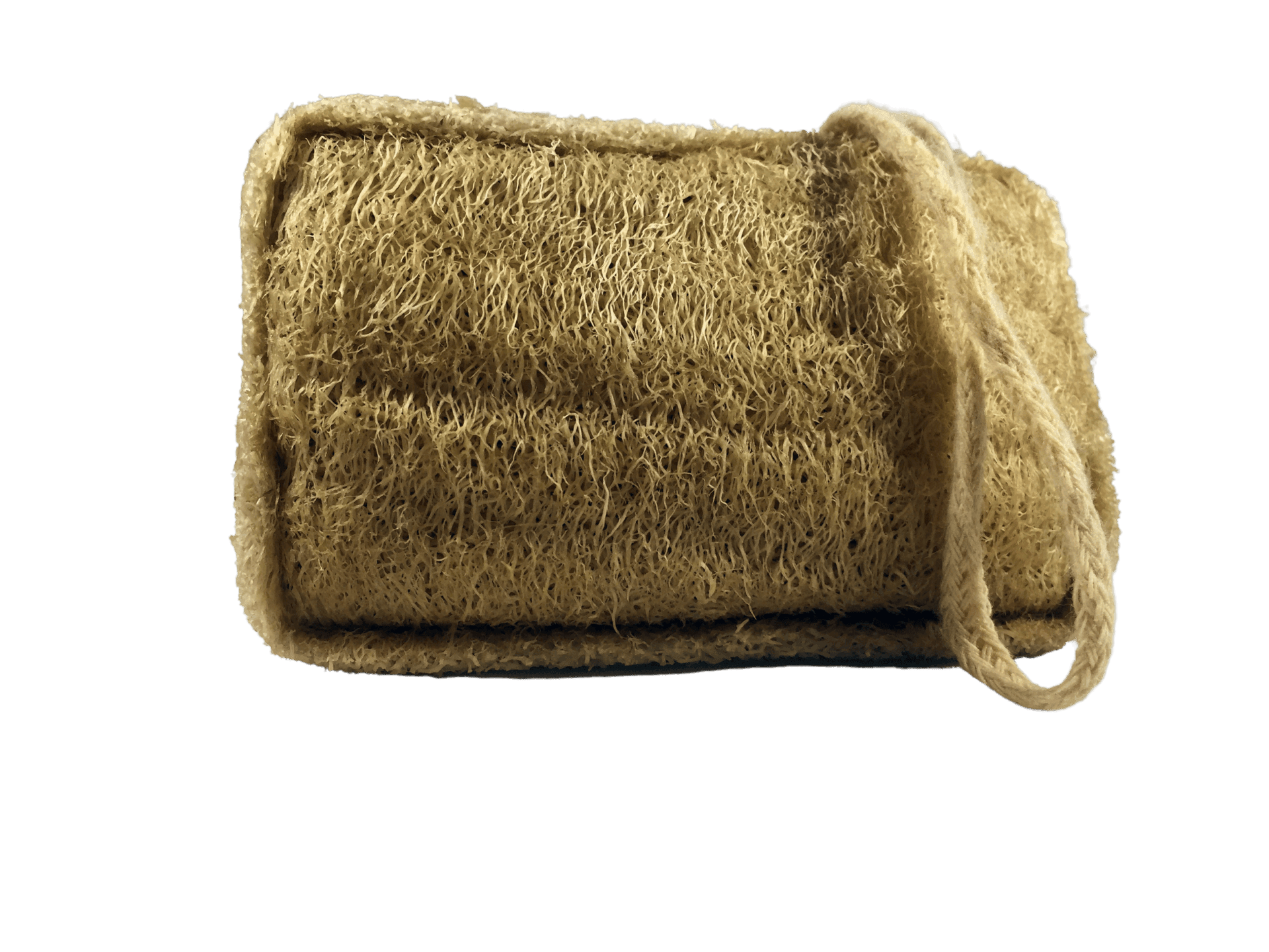 Natural Loofah Sponge