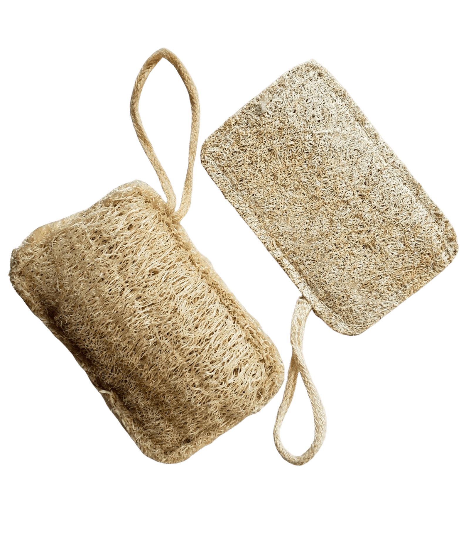 Natural Loofah Sponge